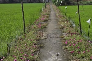 From HCMC: Cu Chi Tunnels& Mekong Delta Small Group Eco Tour