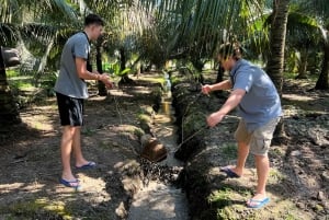 From HCMC: Cu Chi Tunnels& Mekong Delta Small Group Eco Tour