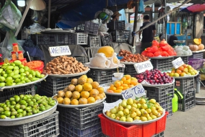 Depuis Hô-Chi-Minh-Ville : visite écologique du delta du Mékong en petit groupe