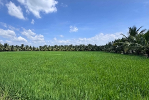 Depuis Hô-Chi-Minh-Ville : visite écologique du delta du Mékong en petit groupe