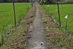 Depuis Hô-Chi-Minh-Ville : visite écologique du delta du Mékong en petit groupe