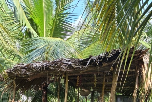 Depuis Hô-Chi-Minh-Ville : visite écologique du delta du Mékong en petit groupe