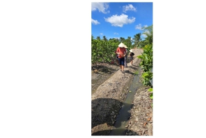 Depuis Hô-Chi-Minh-Ville : visite écologique du delta du Mékong en petit groupe