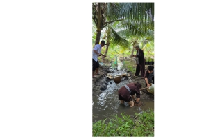 Depuis Hô-Chi-Minh-Ville : visite écologique du delta du Mékong en petit groupe