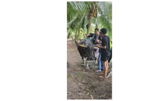 Depuis Hô-Chi-Minh-Ville : visite écologique du delta du Mékong en petit groupe