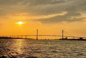 Desde Ho Chi Minh: 2 días por el delta del Mekong y el mercado flotante