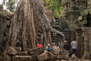 From Ho Chi Minh: Angkor Wat Tour