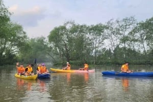 From Ho Chi Minh: Mekong and Cai Rang Floating Market 1 Day