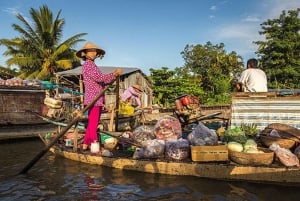 From Ho Chi Minh: Mekong and Cai Rang Floating Market 1 Day