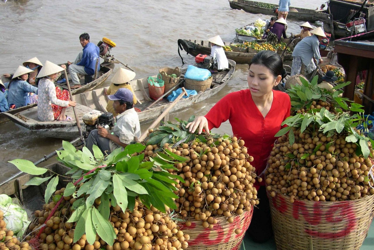 From Ho Chi Minh: Cai Rang Floating Market Private Day Tour