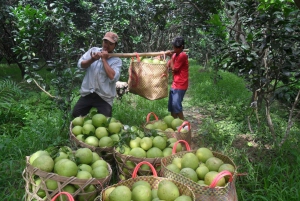 Cai Rang Floating Market & Mekong Delta Private Day Tour