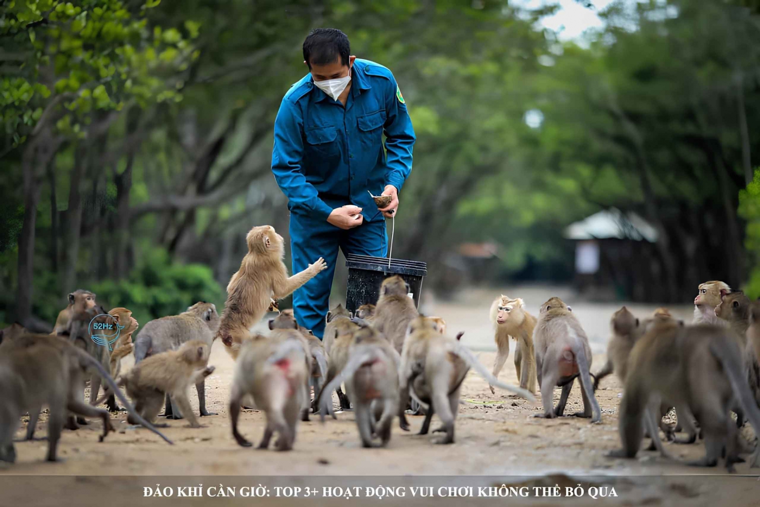 De Ho Chi Minh: Floresta de mangue de Can Gio e Ilha dos Macacos