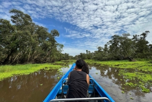 Из Хошимина: мангровый лес Кан Джио и остров обезьян