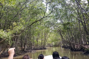 Из Хошимина: мангровый лес Кан Джио и остров обезьян