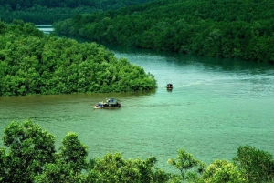 Из Хошимина: мангровый лес Кан Джио и остров обезьян