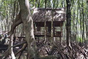 Från Ho Chi Minh: Can Gio apö- mangroveskogreservat