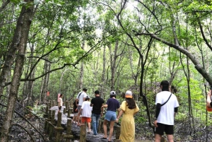 Ho Chi Minhistä: Can Gio Monkey Island & Mangrove Tour