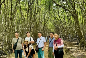 Ho Chi Minhistä: Can Gio Monkey Island & Mangrove Tour