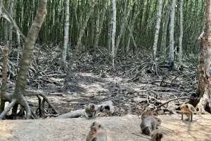 Ho Chi Minhistä: Can Gio Monkey Island & Mangrove Tour