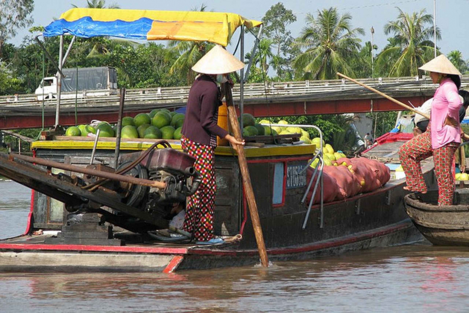 From Ho Chi Minh City: 2-Day Floating Markets Tour