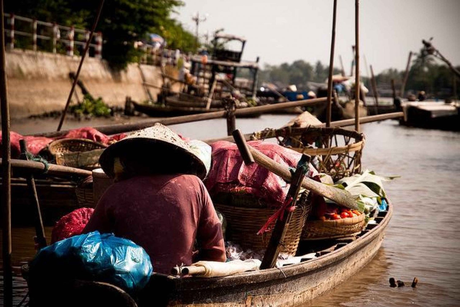 From Ho Chi Minh City: 2-Day Floating Markets Tour