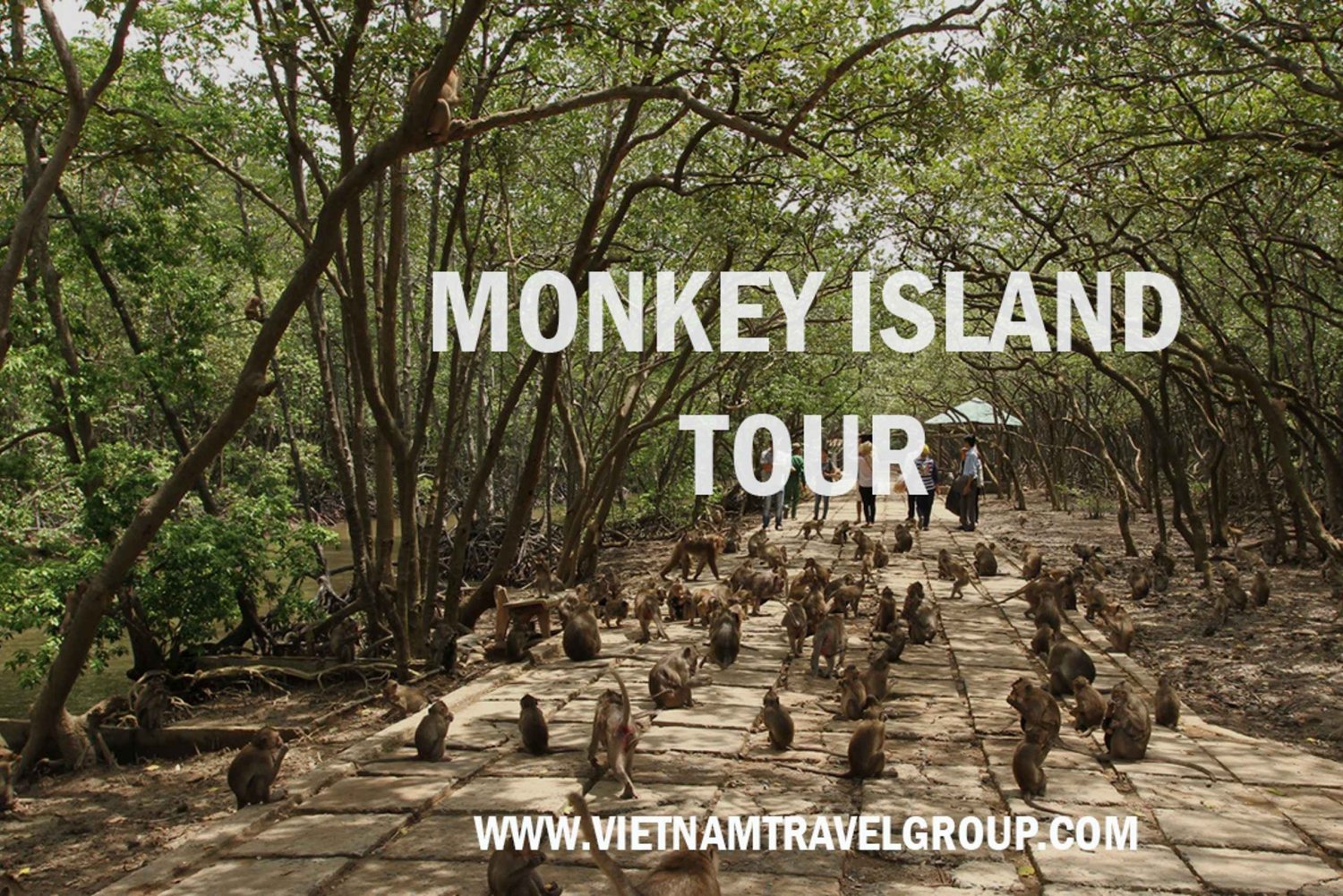 Da Ho Chi Minh City: Tour guidato della foresta di mangrovie di Can Gio