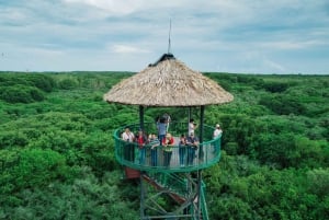 Au départ de Ho Chi Minh Ville : Visite guidée de la forêt de mangroves de Can Gio