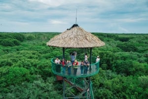 Vanuit Ho Chi Minh-stad: begeleide bostour door Can Gio Mangrove