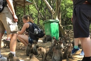 Desde Ciudad Ho Chi Minh Visita guiada al bosque de manglares de Can Gio