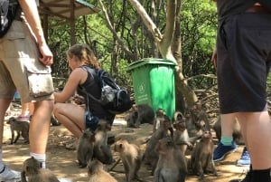From Ho Chi Minh City: Can Gio Mangrove Guided Forest Tour
