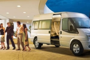 From Ho Chi Minh City: Can Gio Mangrove Guided Forest Tour