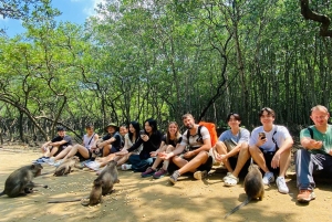 Fra Ho Chi Minh-byen: Can Gio Mangrove & Monkey Island Trek
