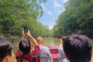 Fra Ho Chi Minh-byen: Can Gio Mangrove & Monkey Island Trek