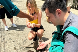 Fra Ho Chi Minh-byen: Can Gio Mangrove & Monkey Island Trek