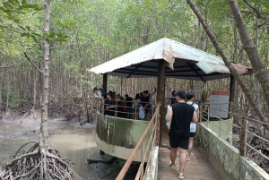Fra Ho Chi Minh-byen: Can Gio Mangrove & Monkey Island Trek