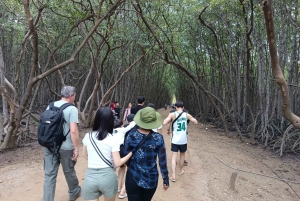 Fra Ho Chi Minh-byen: Can Gio Mangrove & Monkey Island Trek