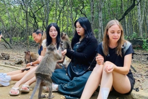 Fra Ho Chi Minh-byen: Can Gio Mangrove & Monkey Island Trek