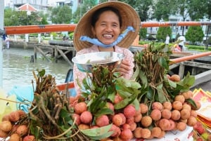 Da cidade de Ho Chi Minh: Passeio pelos túneis de Cu Chi e Delta do Mekong