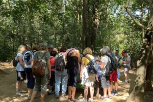 From Ho Chi Minh City: Cu Chi Tunnels & Binh Duong Speedboat