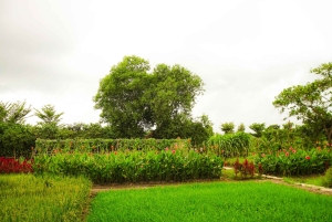 From Ho Chi Minh City: Cu Chi Tunnels & Binh Duong Speedboat