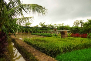From Ho Chi Minh City: Cu Chi Tunnels & Binh Duong Speedboat