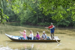 From Ho Chi Minh City: Group tour Can Gio Mangrove Forest