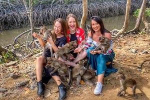 Au départ de Ho Chi Minh Ville : Visite en groupe de la forêt de mangroves de Can Gio
