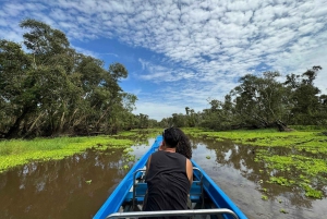 Da Ho Chi Minh City: Tour di gruppo della foresta di mangrovie di Can Gio
