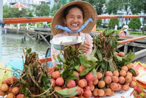 Vanuit Ho Chi Minh Stad: Mekong Delta Tour in kleine groep