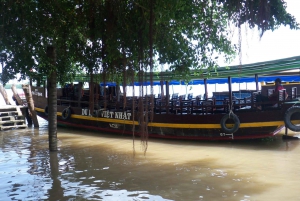 From Ho Chi Minh City: Cu Chi Tunnels and Mekong Delta Tour