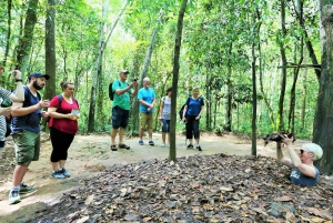 From Ho Chi Minh City: Cu Chi Tunnels and Mekong Delta Tour