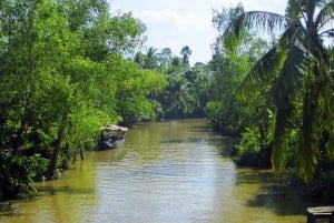 From Ho Chi Minh City: Cu Chi Tunnels and Mekong Delta Tour