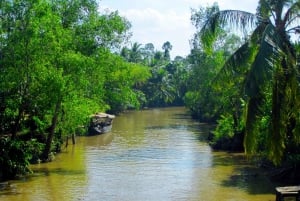 From Ho Chi Minh City: Cu Chi Tunnels and Mekong Delta Tour