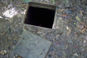From Ho Chi Minh City: Cu Chi Tunnels and Mekong Delta Tour